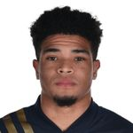 尼敦夏尼爾（Nathan Harriel）