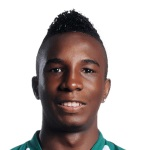 華拉斯高