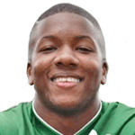 法蘭斯高查維拉