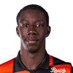 班迪奧古法迪加