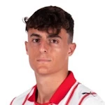 阿歷真度法蘭西斯