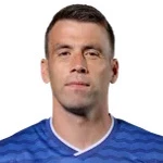 史密斯高文（Séamus Coleman）