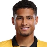 祖奧高美斯（João Gomes）