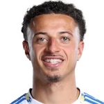 艾芬安柏度（Ethan Ampadu）