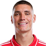 尼高拉米連高域