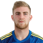 尼高拉斯華倫天尼