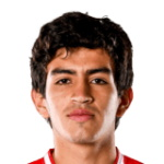 尼古拉斯柏拉維仙奴