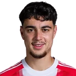 阿歷山大柏夫洛域（Aleksandar Pavlović）