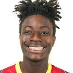 布魯克林拉尼斯（Brooklyn Raines）