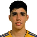 里安納度科利斯