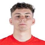 拿沙史迪芬奴域