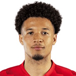 泰亞高山度士（Tiago Santos）