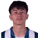 阿歷斯杜明基斯