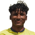 恩迪利華斯基斯