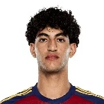 希薩卡尼（Aiden  Hezarkhani）