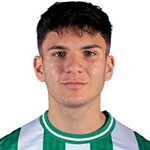 辛迪亞高丹尼利