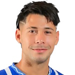 尼高拉斯費南迪斯