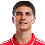 尼高拉斯杜明基斯