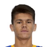 查維亞杜明基斯