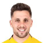 阿密阿斯蘭（Ahmet Arslan）