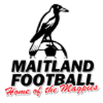 梅特蘭FC logo