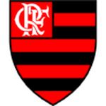 法林明高女足 logo