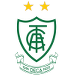 阿美利加明尼路女足 logo